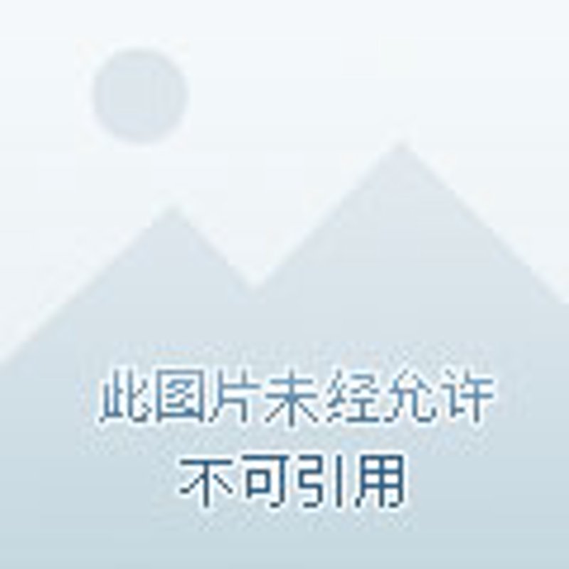 卓尼公司的未来之路:一次深度研究